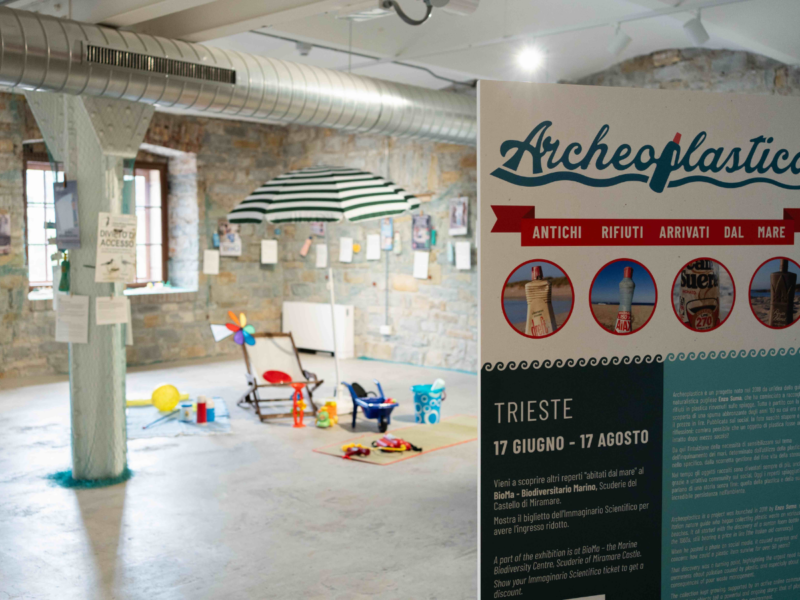 La mostra Archeoplastica a Trieste