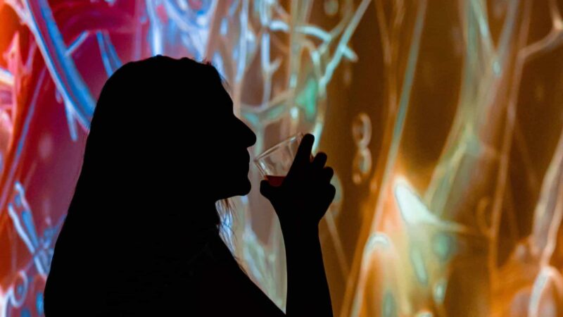 Un evento all'Immaginario Scientifico di Trieste