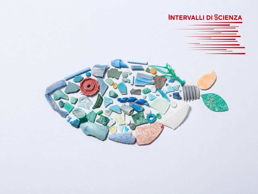 Microplastiche