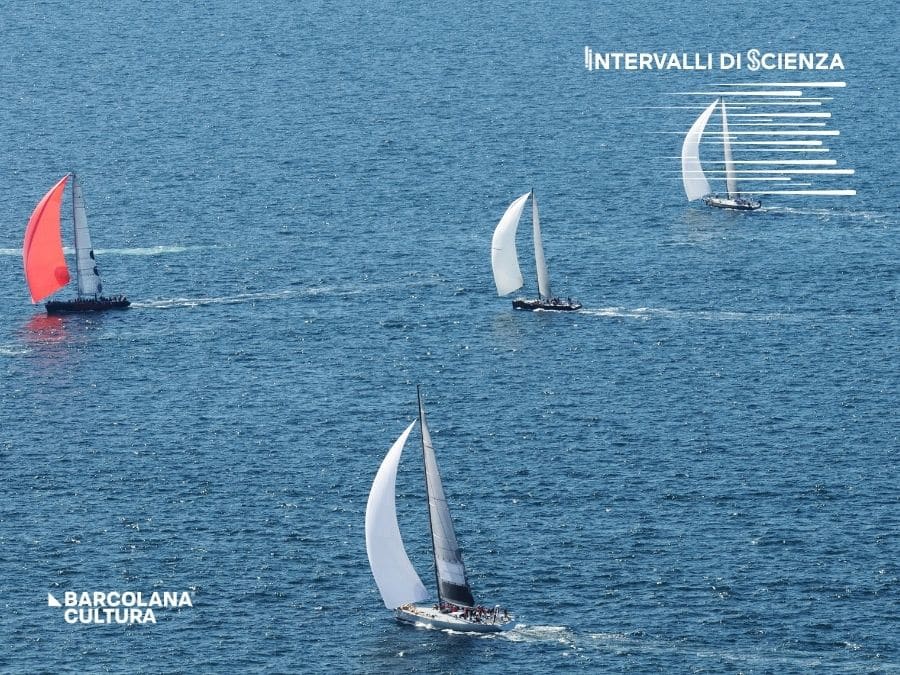 Barche durante la regata Barcolana